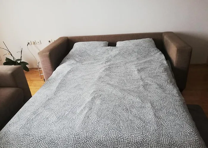 Breza Daire Kruševac